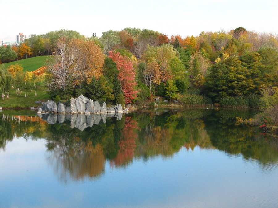 Lac des Cygnes