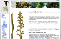 Terrestrial Orchid Wiki Terrestrial Orchid Wiki