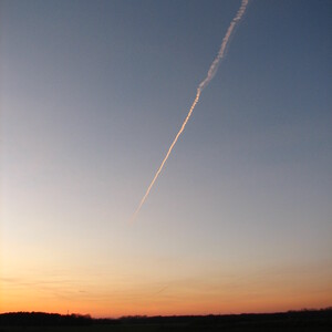img_8481.jpg