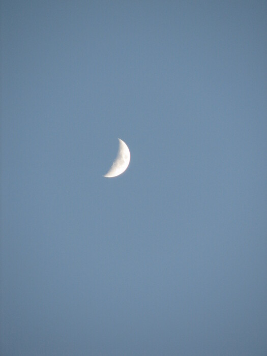 Moon