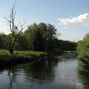 img_9874.jpg