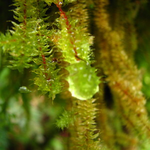 img_1269.jpg
