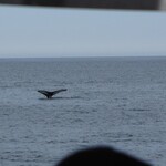 img_0678.jpg