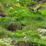 img_1245.jpg