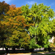 img_3292.jpg