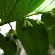 img_4485_cr.jpg
