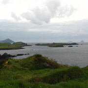 img_5156.jpg