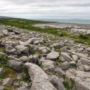 img_5506.jpg