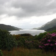 img_5614.jpg