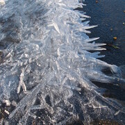 20110129-160321-canon.jpg