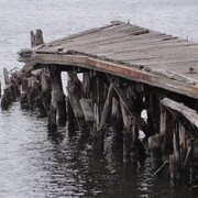 dsc00752.jpg