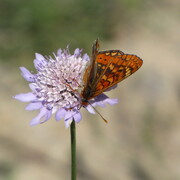 20110522-120320-canon.jpg