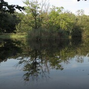 img_0397_cr.jpg
