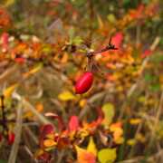 20121027-142211-canon.jpg