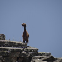 20130521-132715-hx200.jpg
