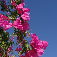 20130525-172803-hx200.jpg