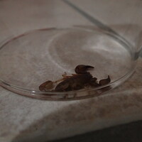 20130525-221056-hx200.jpg