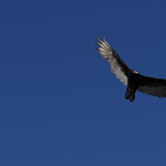 dsc01549.jpg