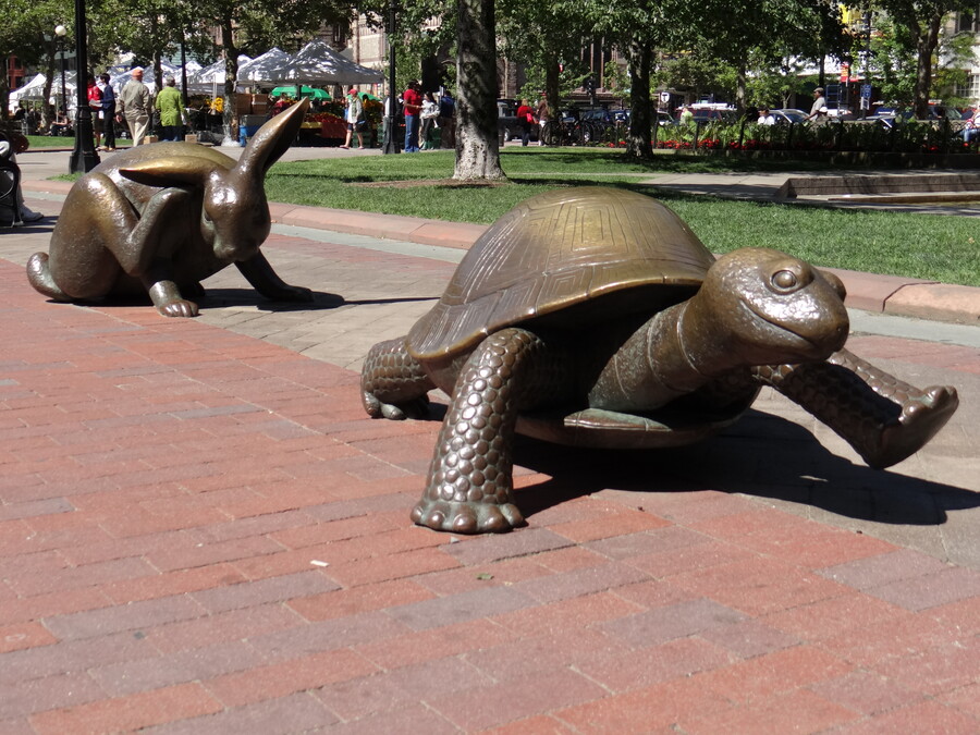 Rabbit and Turtle, Boston, MA