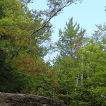 dsc01852.jpg
