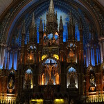dsc01976.jpg