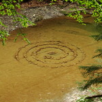 dsc02673.jpg
