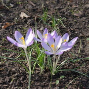 dsc03707.jpg
