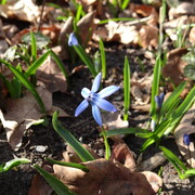 dsc03708.jpg