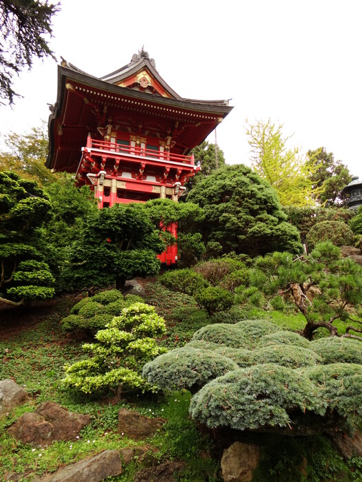 Japoanese Garden at Golden Gate Park