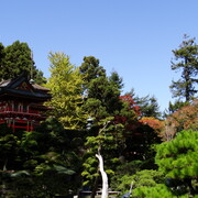 dsc01459.jpg