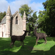 dsc02623.jpg