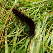 dsc02863.jpg