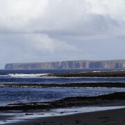 dsc02892.jpg