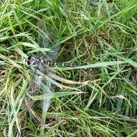 20190830_170432.jpg