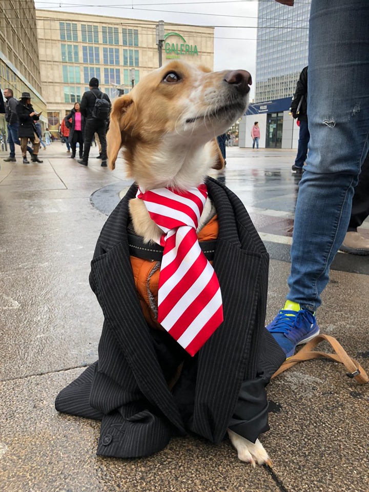 snoopy.jpg snoopy.jpg