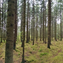2025-07-04_17-47-32_yal-l21.jpg